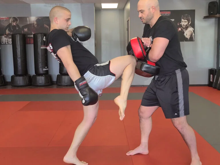 Cosens Martial Arts (Fenton) academy photo