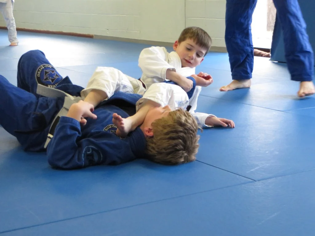 Downriver Jiu Jitsu academy photo