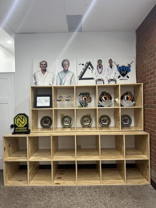 Island Jiu-Jitsu Michigan facility image