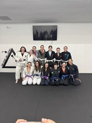 Island Jiu-Jitsu Michigan facility image