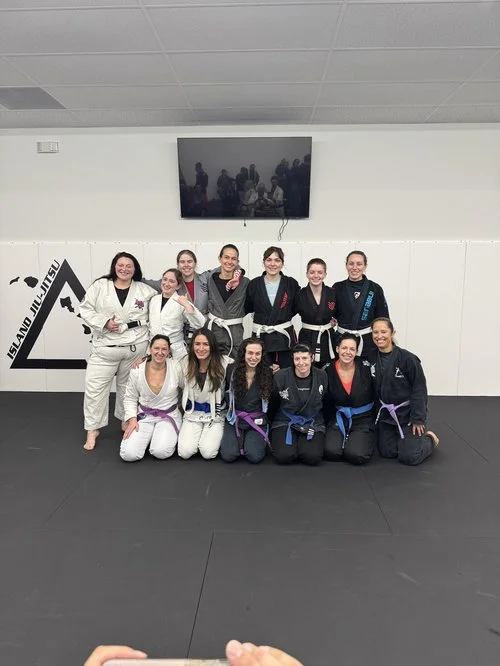 Island Jiu-Jitsu Michigan facility image