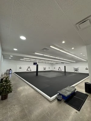 Island Jiu-Jitsu Michigan facility image