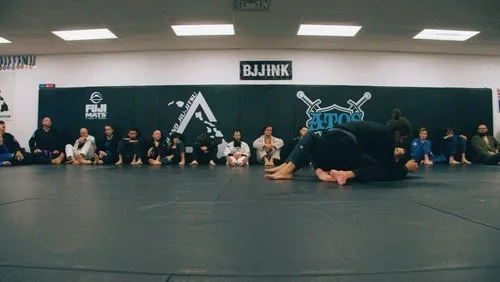 Island Jiu-Jitsu Michigan facility image