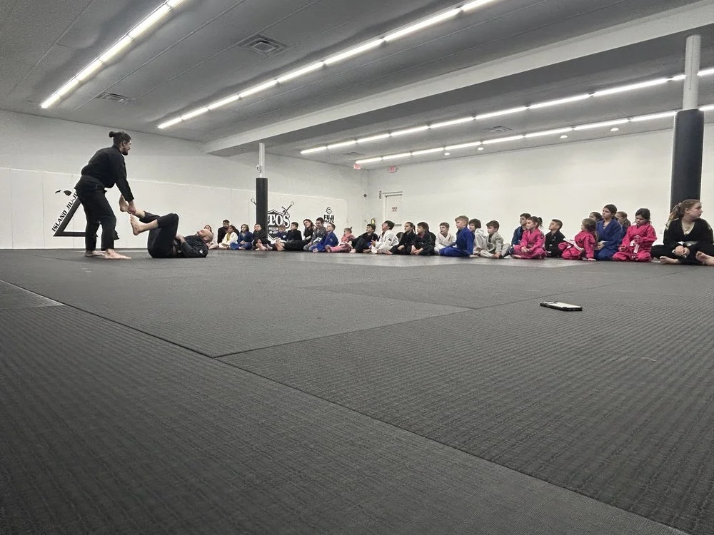 Island Jiu-Jitsu Michigan facility image