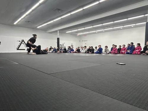 Island Jiu-Jitsu Michigan facility image