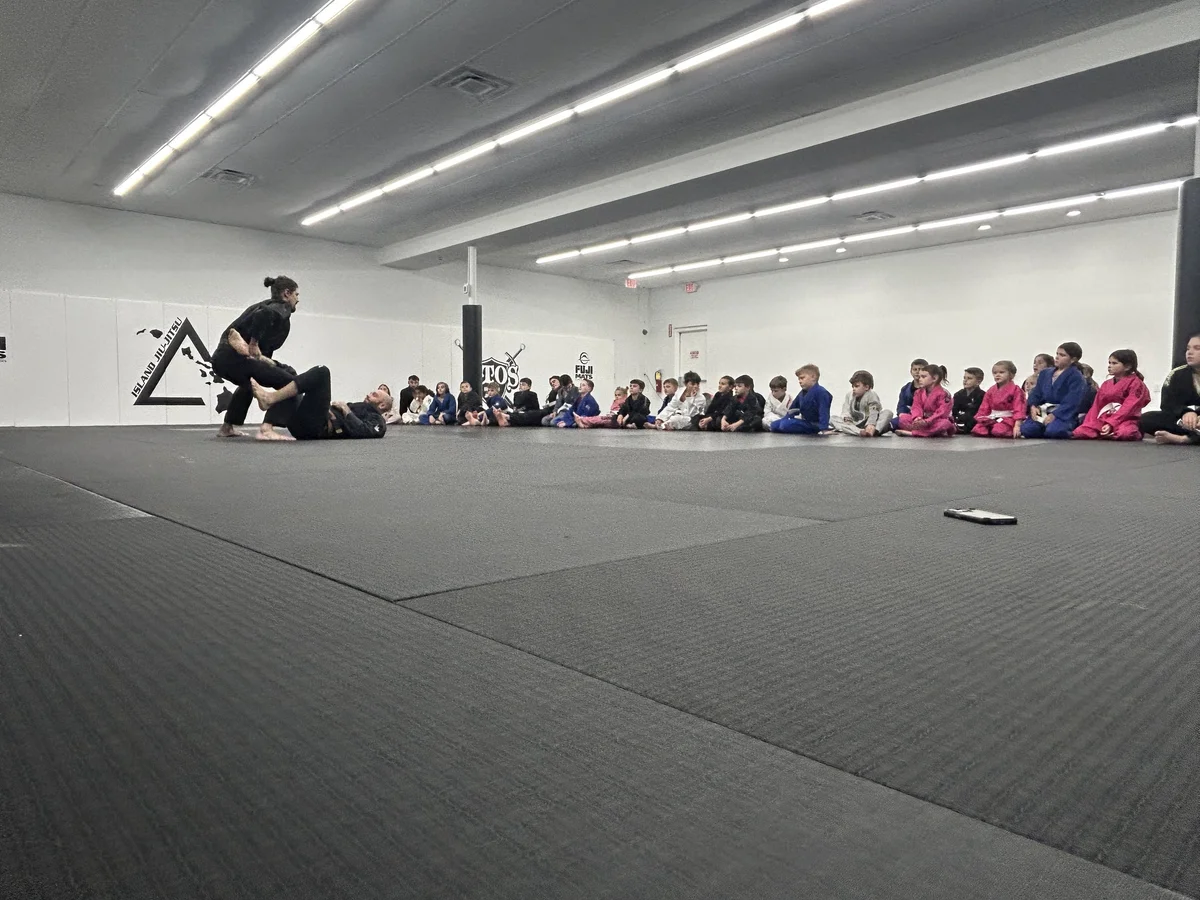 Island Jiu-Jitsu Michigan facility image