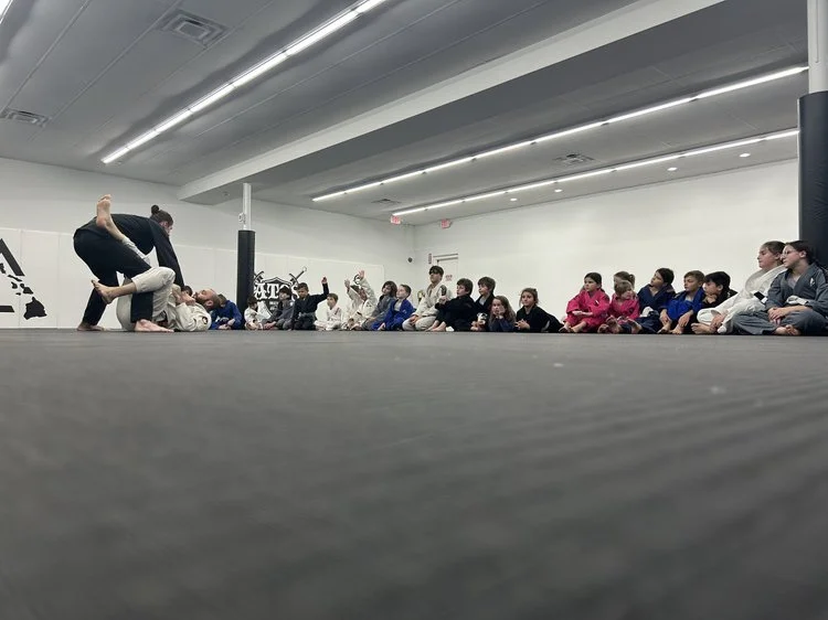Island Jiu-Jitsu Michigan facility image