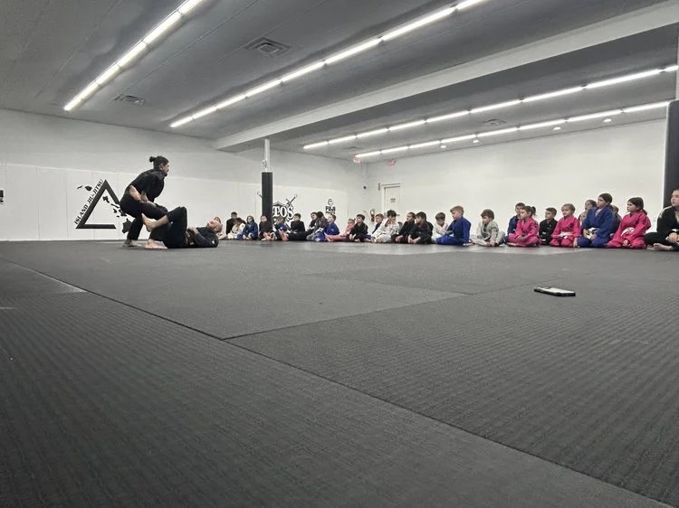 Island Jiu-Jitsu Michigan facility image
