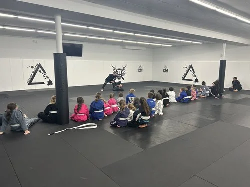 Island Jiu-Jitsu Michigan facility image