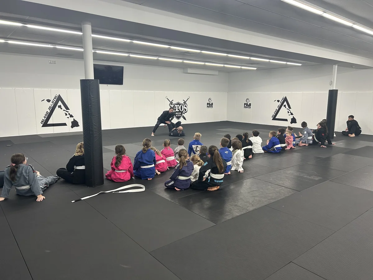 Island Jiu-Jitsu Michigan facility image