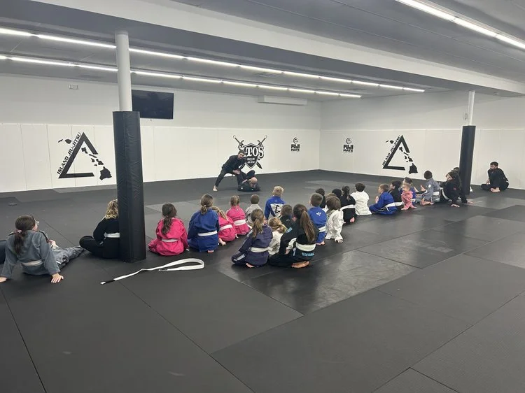 Island Jiu-Jitsu Michigan facility image