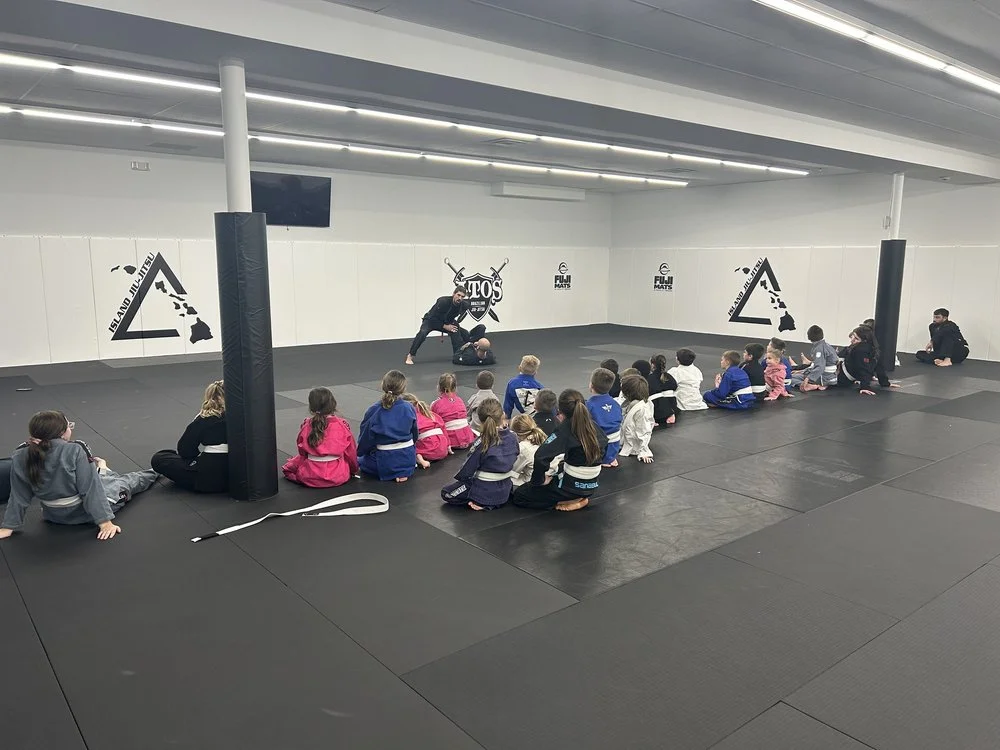 Island Jiu-Jitsu Michigan facility image