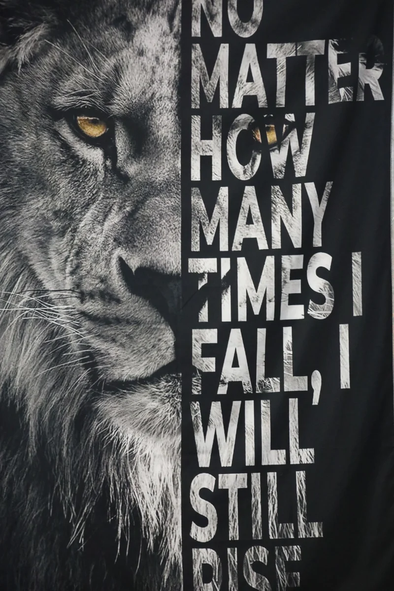 Lyons BJJ academy photo