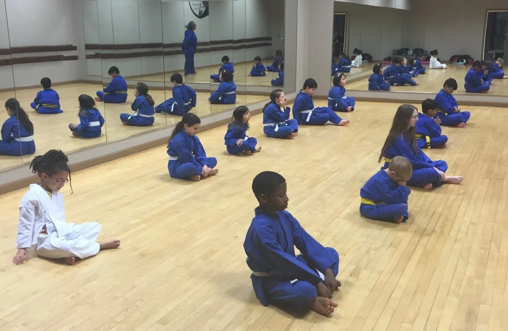 Plowden’s Championship Martial Arts academy logo