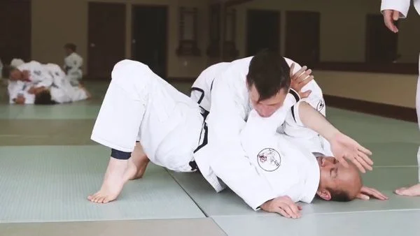 School of Martial Arts facility image