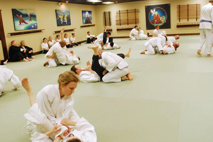 School of Martial Arts facility image