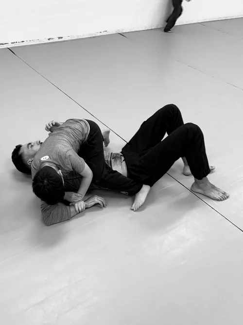 TENFOLD BRAZILIAN JIU JITSU visual