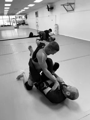 TENFOLD BRAZILIAN JIU JITSU academy photo