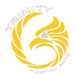 Trinity Martial Arts Kalamazoo academy logo