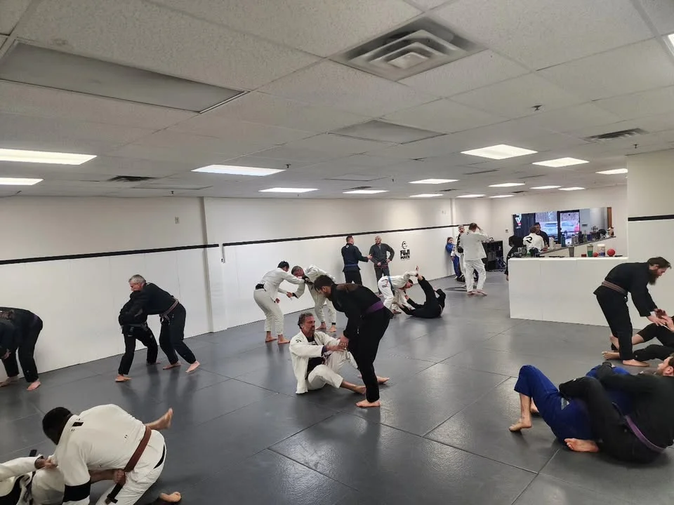Rebel Jiu Jitsu visual