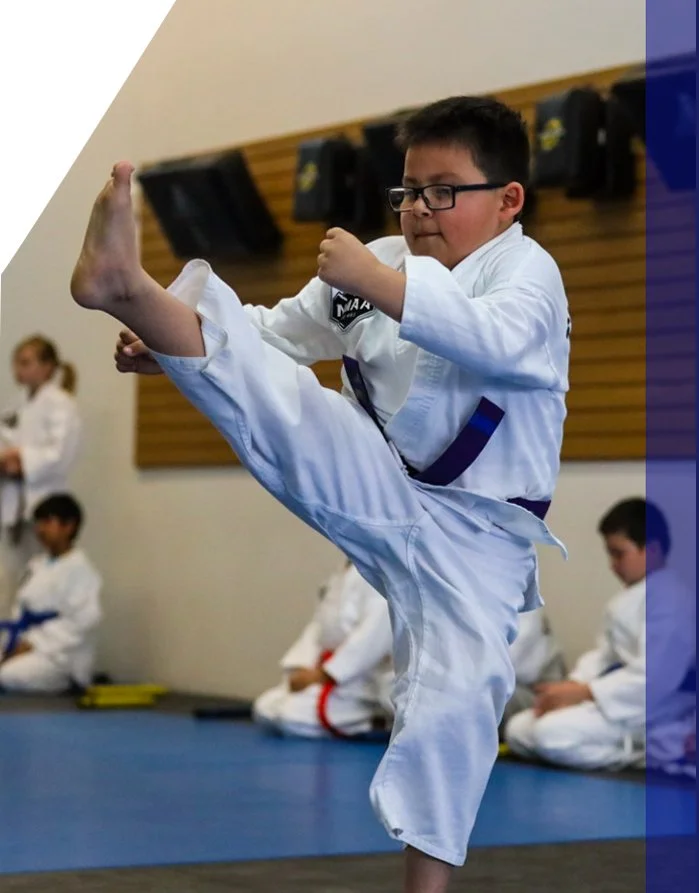 Children's Martial Arts in Minneapolis - St Paul, MN academy logo