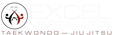 Excel Martial Arts academy photo