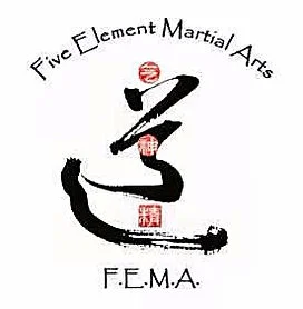 Five Element Martial Arts & Healing Center academy logo