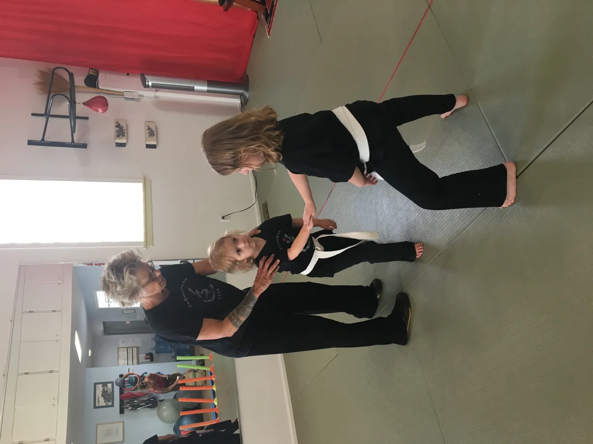 Five Element Martial Arts & Healing Center academy photo