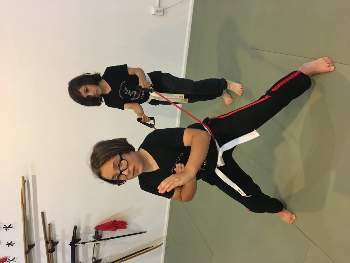 Five Element Martial Arts & Healing Center academy photo