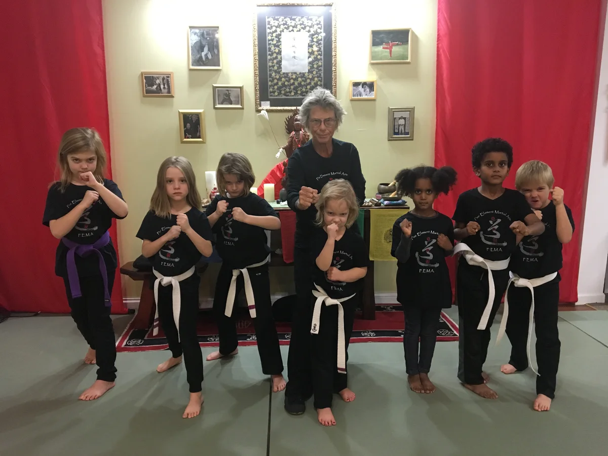 Five Element Martial Arts & Healing Center academy photo