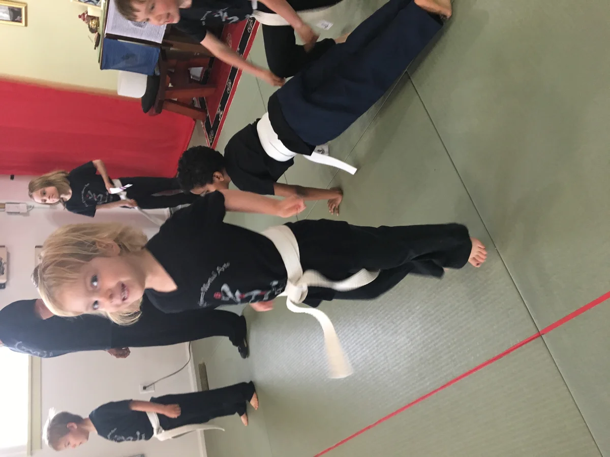 Five Element Martial Arts & Healing Center academy photo