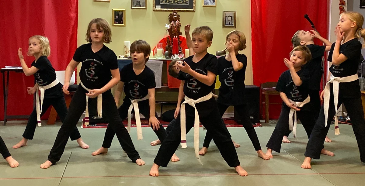 Five Element Martial Arts & Healing Center academy photo