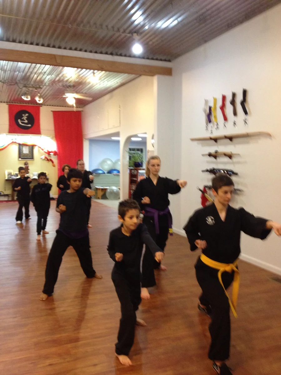 Five Element Martial Arts & Healing Center academy photo