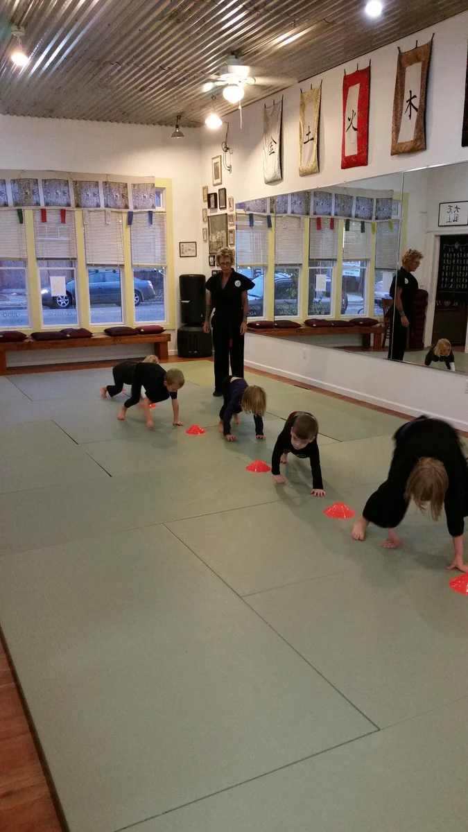 Five Element Martial Arts & Healing Center academy photo