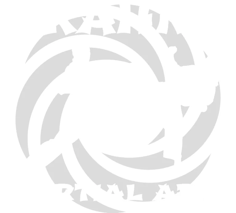 Kahn Martial Arts Woodbury visual