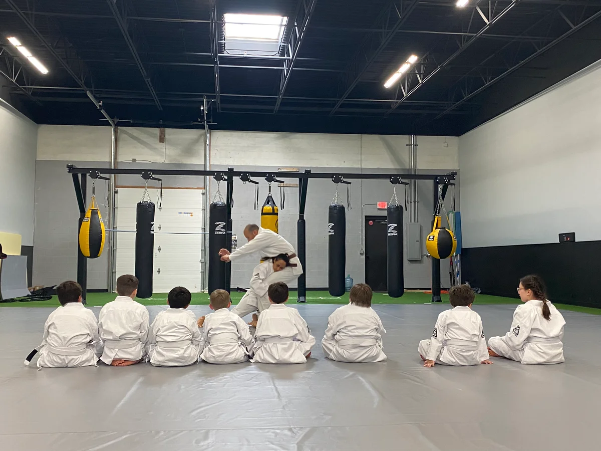 Resilience Martial Arts academy photo