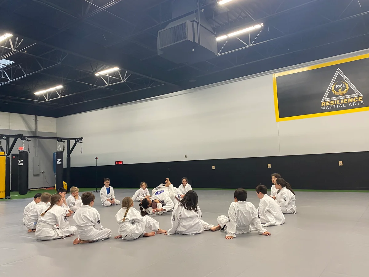 Resilience Martial Arts academy photo