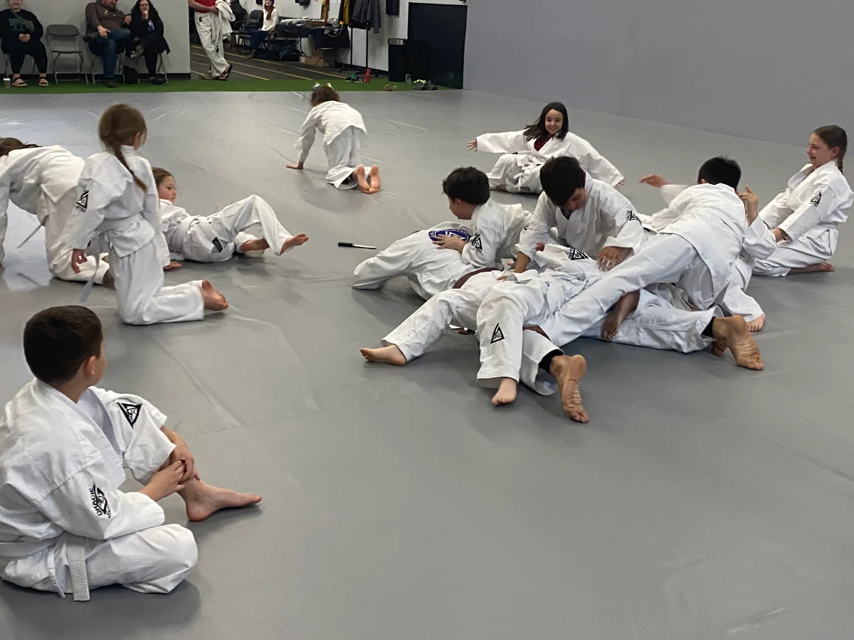 Resilience Martial Arts academy photo