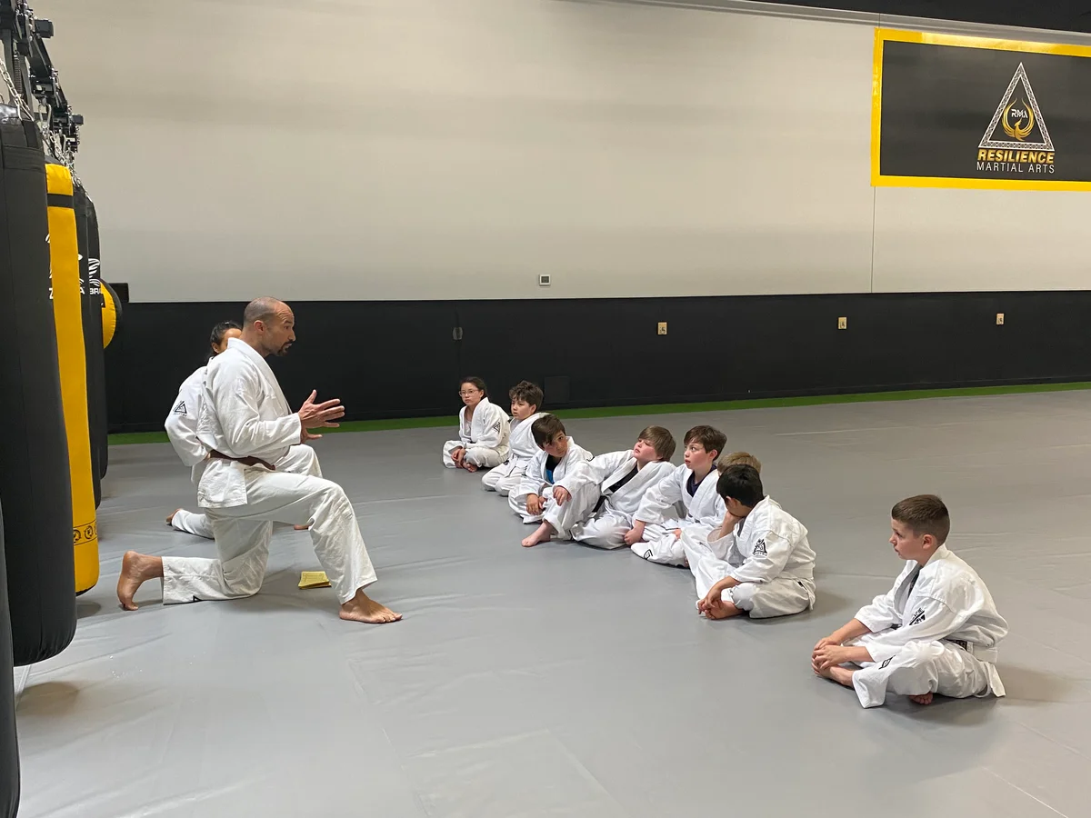 Resilience Martial Arts academy photo