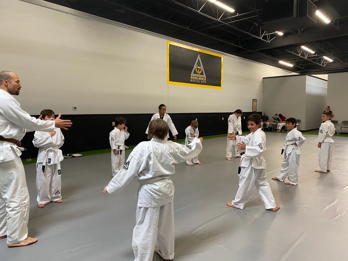Resilience Martial Arts academy photo