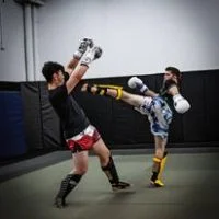 Roots Mixed Martial Arts academy photo