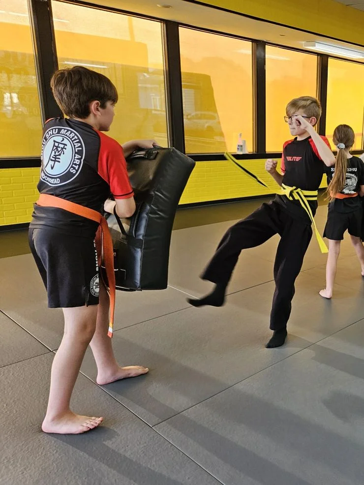Shou Shu Martial Arts academy photo