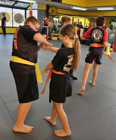 Shou Shu Martial Arts academy photo
