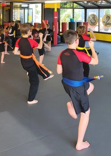 Shou Shu Martial Arts academy photo