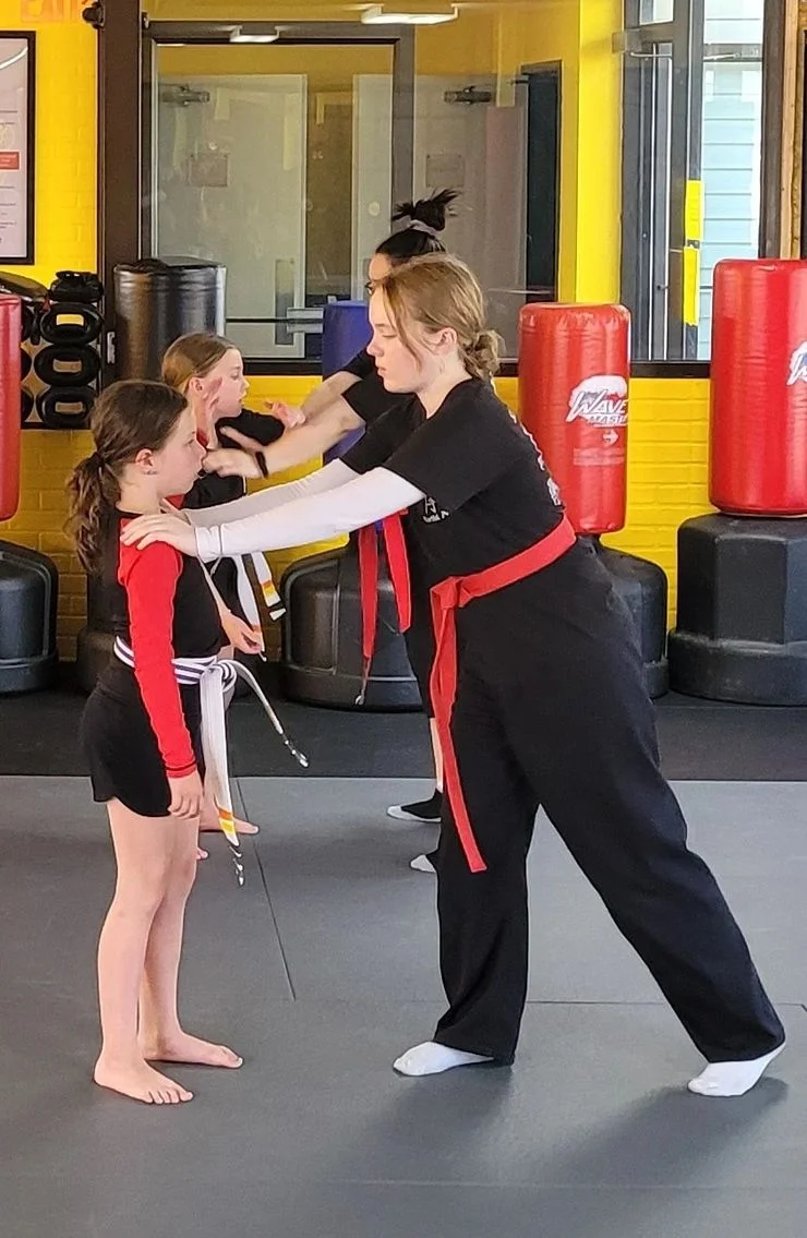 Shou Shu Martial Arts academy photo