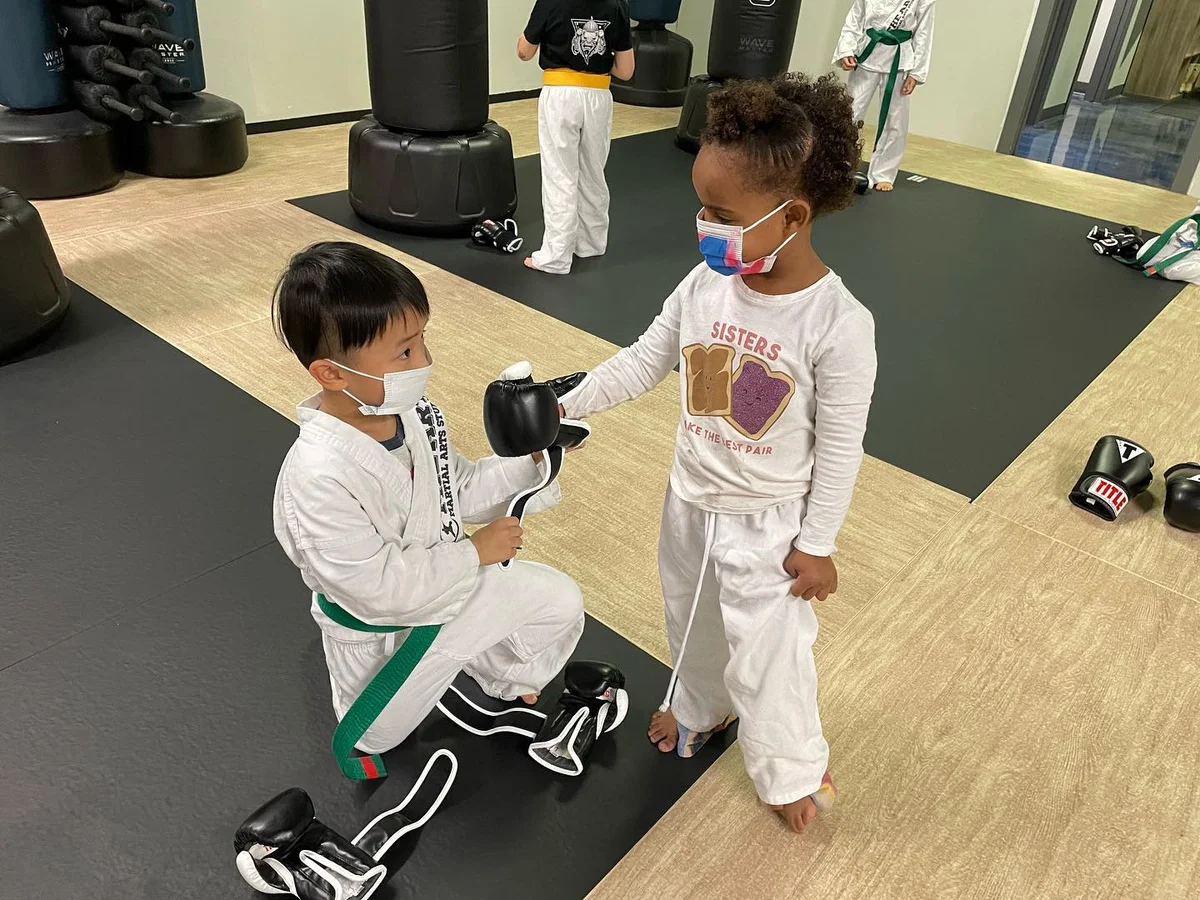 The Art MMA academy photo