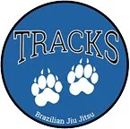 Adults Brazilian Jiu Jitsu (Tracks BJJ) academy photo