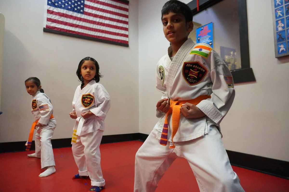 Zen Dragon Edina academy photo