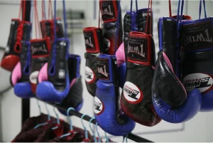 Alive Jiu Jitsu academy photo