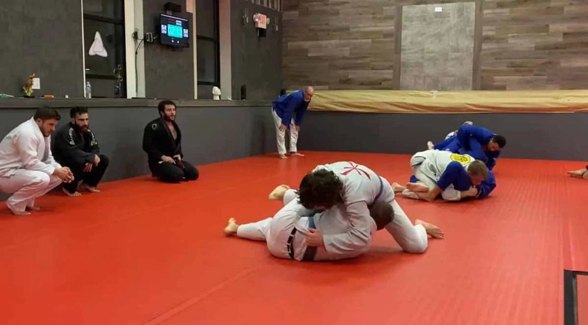 Arnold BJJ visual